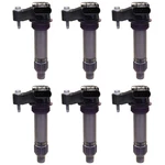 Denso Set Of 6 Direct Ignition Coils For Buick Cadillac Chevy Gmc Pontiac Saturn. Fixed Price $313.95.